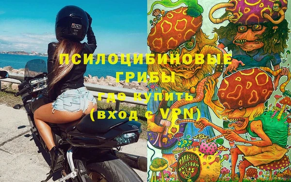 дмт Рославль