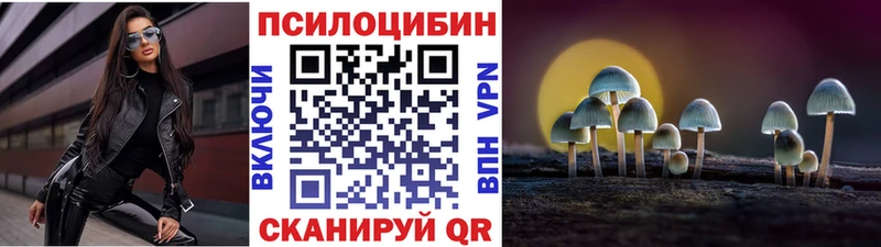 даркнет сайт Адыгейск Галлюциногенные грибы Psilocybine cubensis